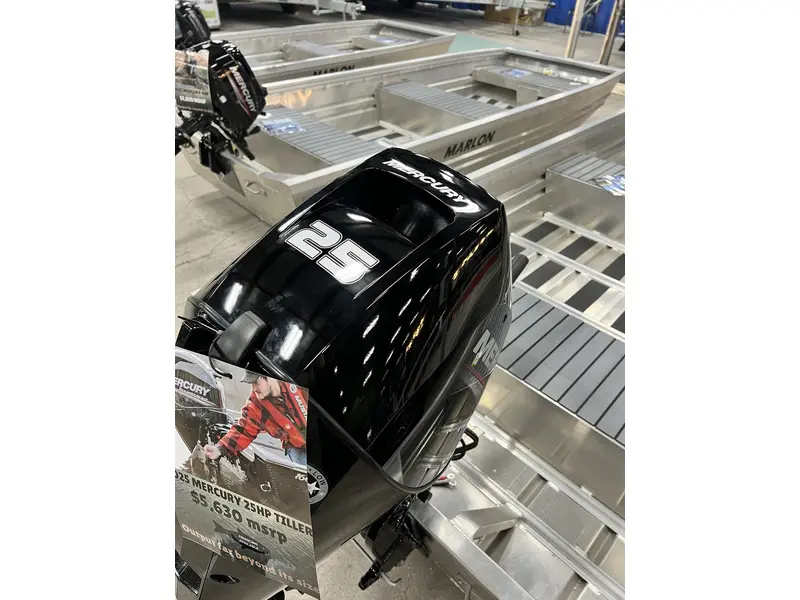 Mercury 25 ELHPT EFI 4S 2025