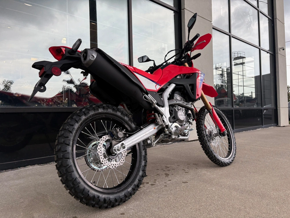 2025 Honda Crf 300l Abs alt