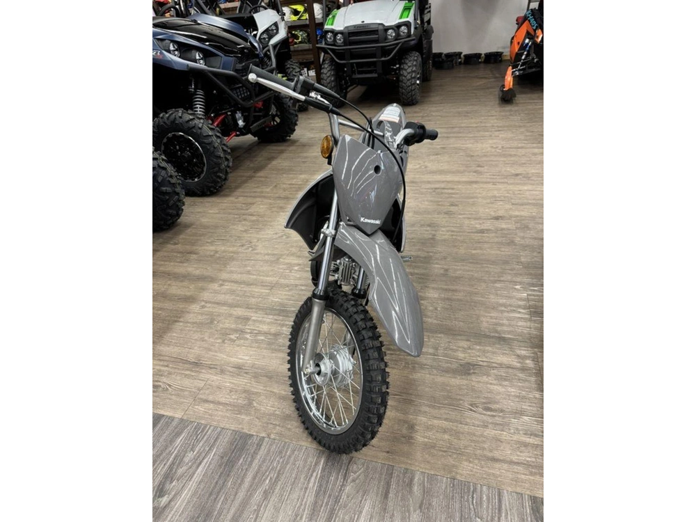 2025 Kawasaki Klx 110r alt