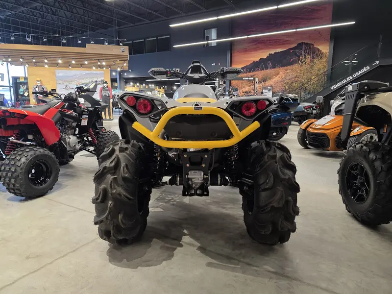 2024 Can-Am RENEGADE X MR 650