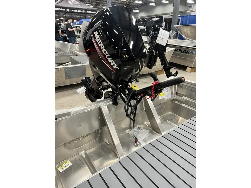 Mercury 25 ELHPT EFI 4S 2025