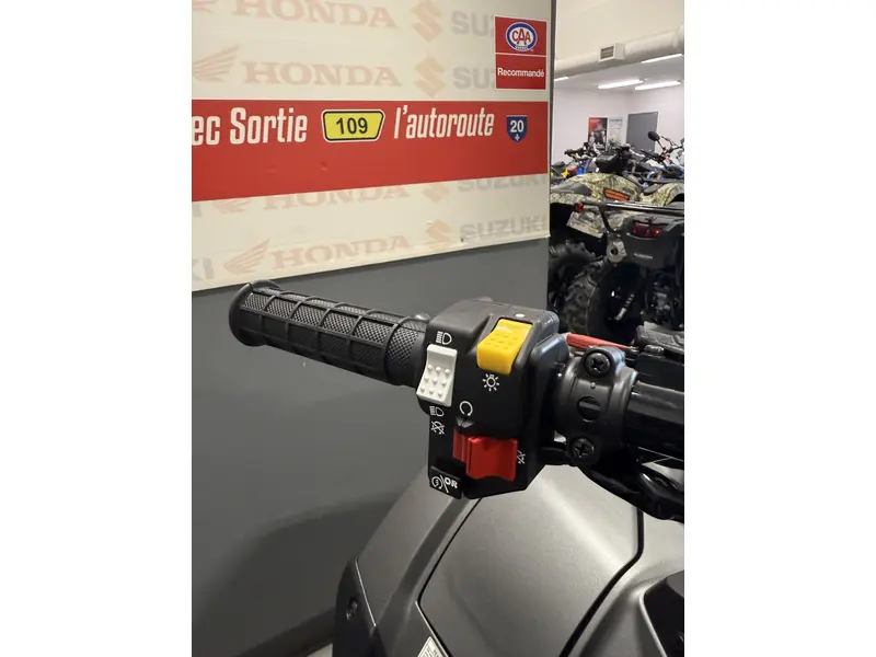 2025 Honda RUBICON 520 IRS EPS TRX520 RUBICON IRS EPS