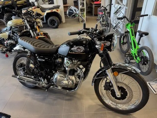 2025 Kawasaki W 800 ABS EJ800