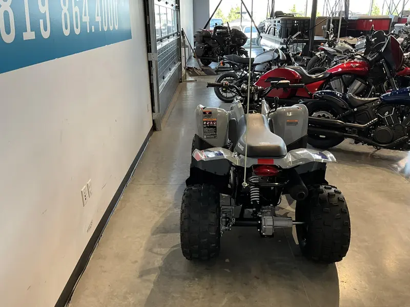 2025 Polaris Phoenix 200