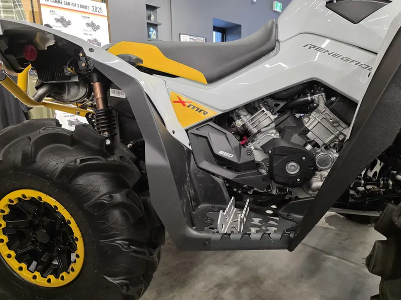 2024 Can-Am RENEGADE X MR 650