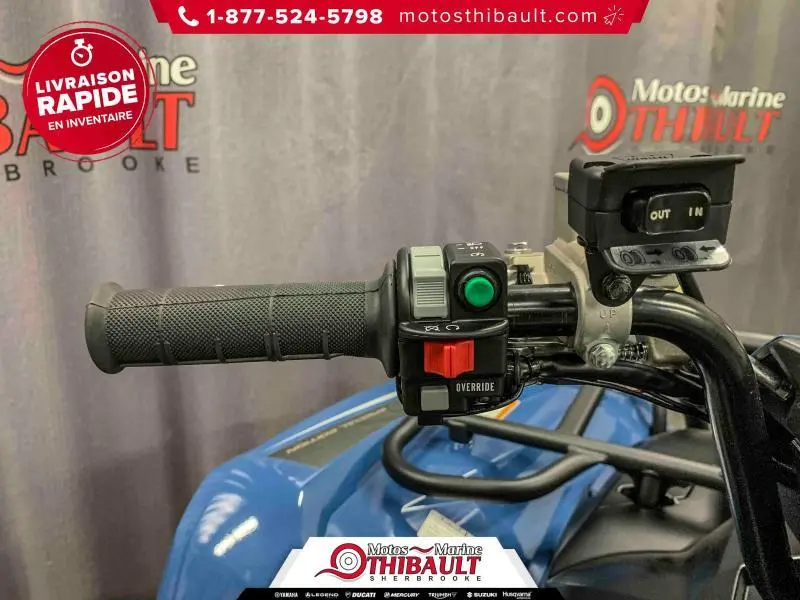 2025 Yamaha Grizzly DAE SE