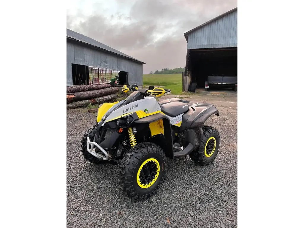 2019 Can-Am RENEGADE 1000R