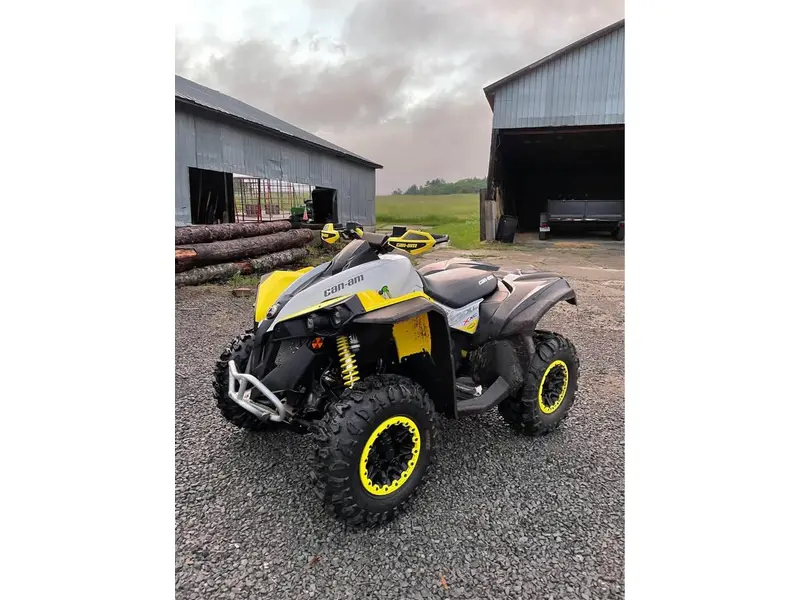 2019 Can-Am RENEGADE 1000R
