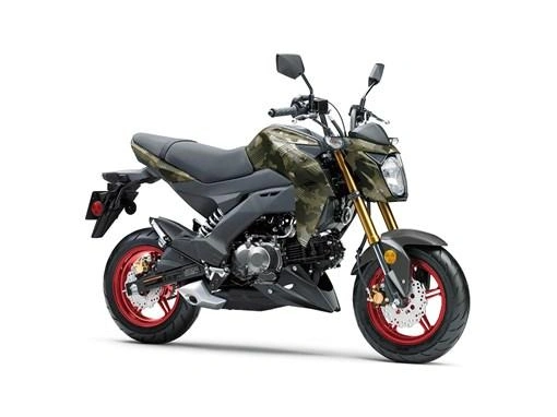 Kawasaki Z 125 Pro 2025 alt