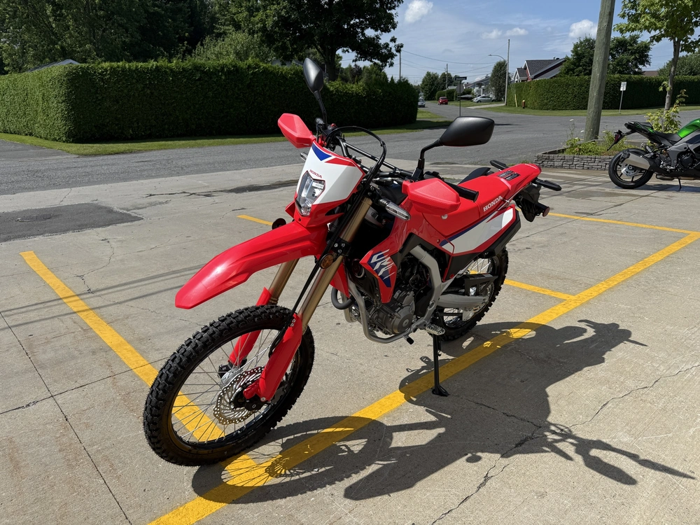2025 Honda Crf300l Abs alt