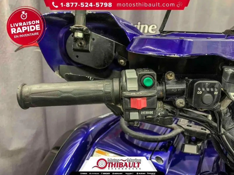 2006 Yamaha GRIZZLY 660