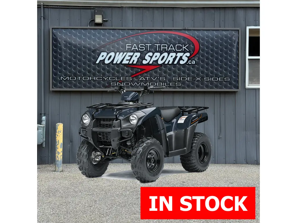 2025 Kawasaki Brute Force 300