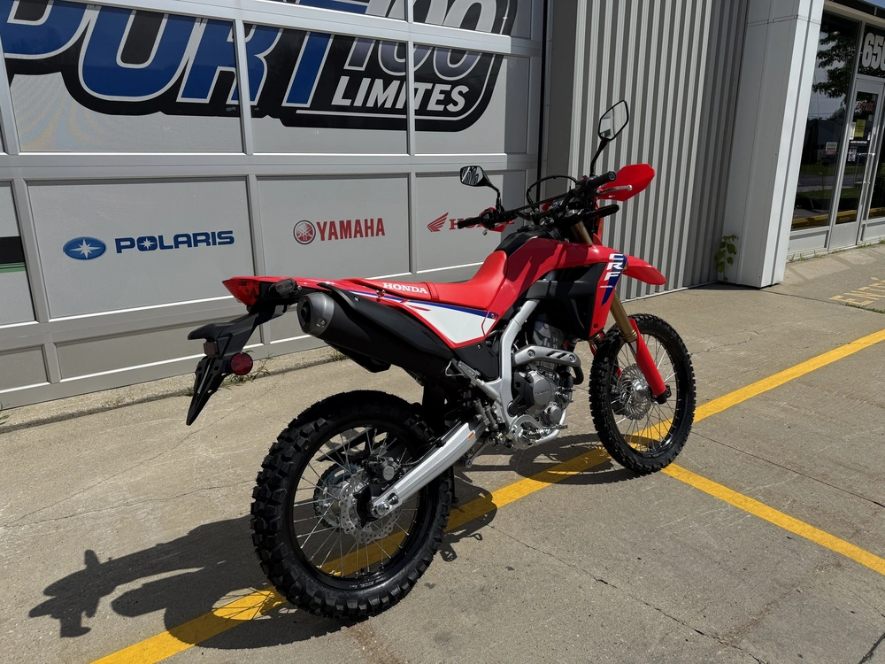 2025 Honda Crf300l Abs alt