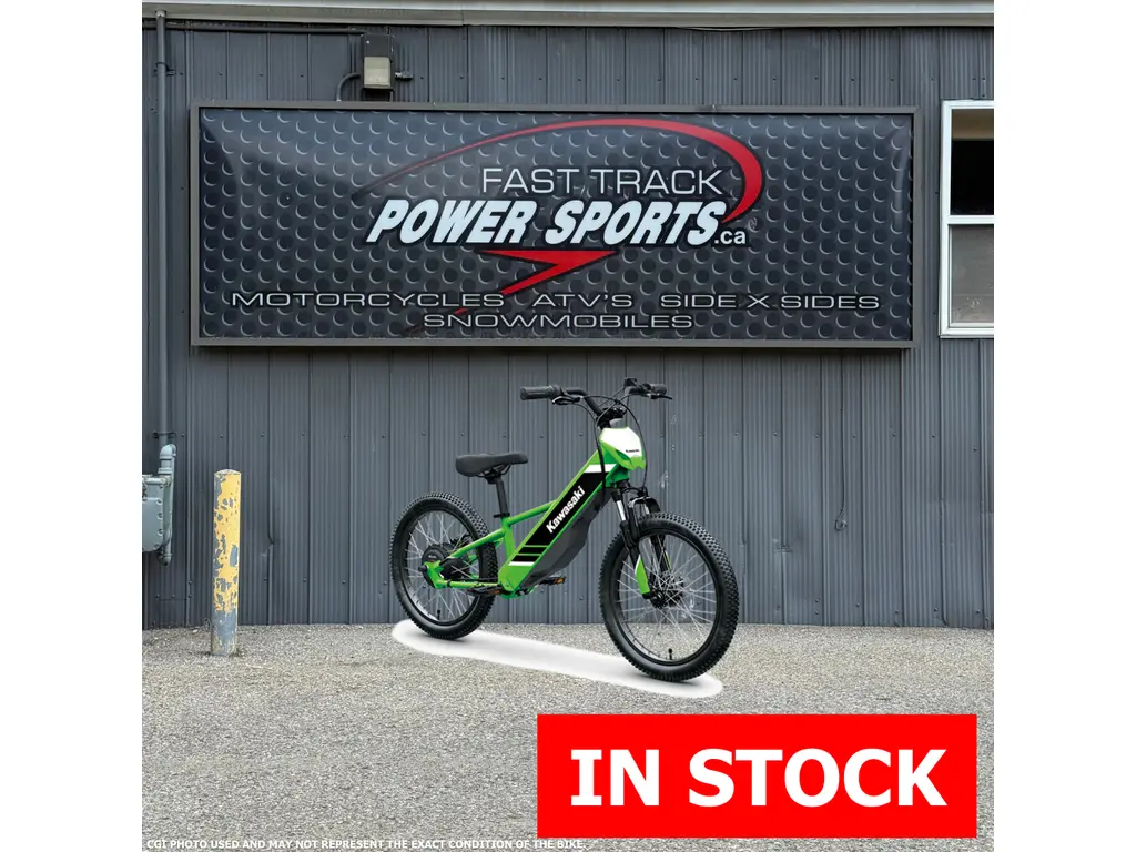 2025 Kawasaki Elektrode 20 