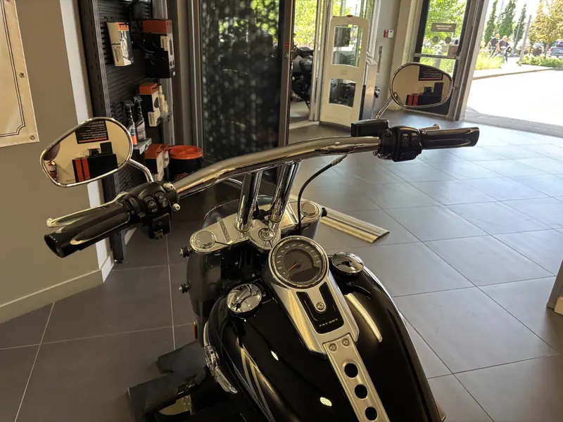 2018 Harley-Davidson FATBOY 114 FLFBS FLFBS