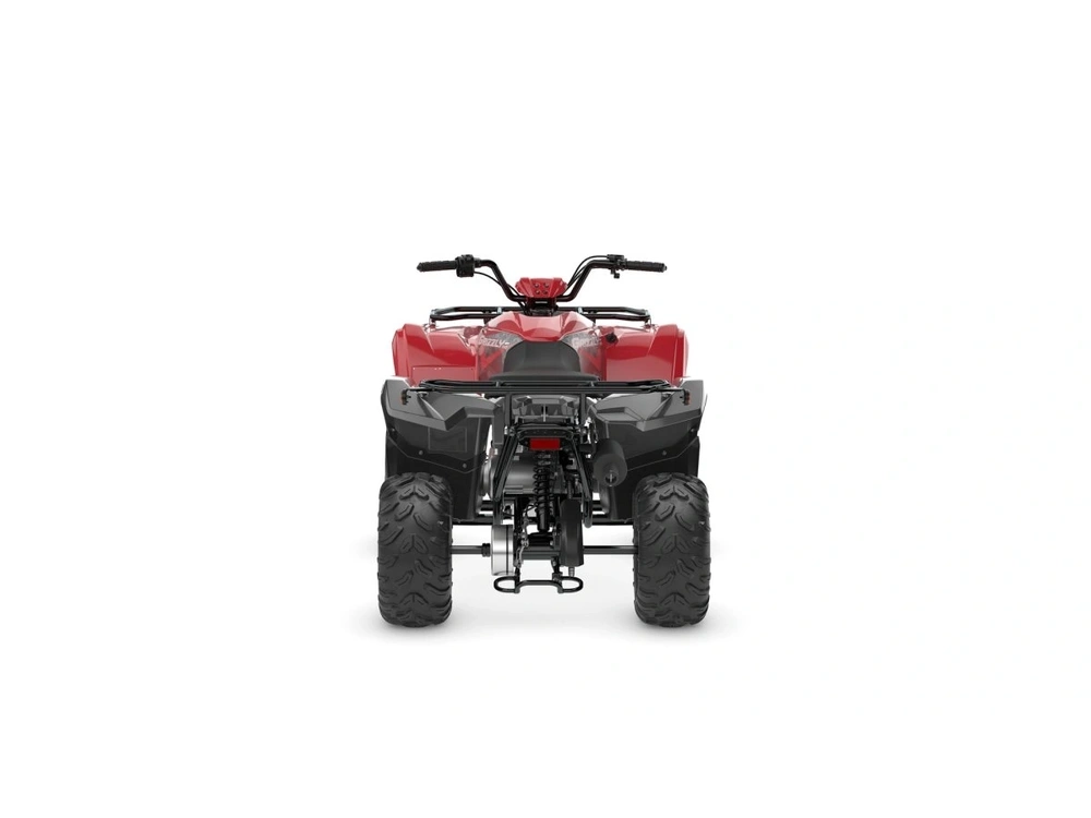 2025 Yamaha Grizzly 110 alt