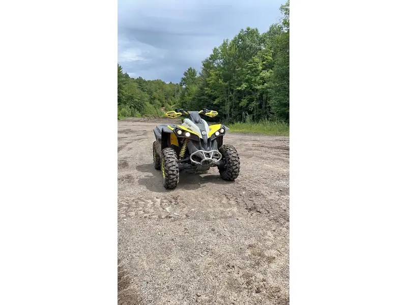 2019 Can-Am RENEGADE 1000R