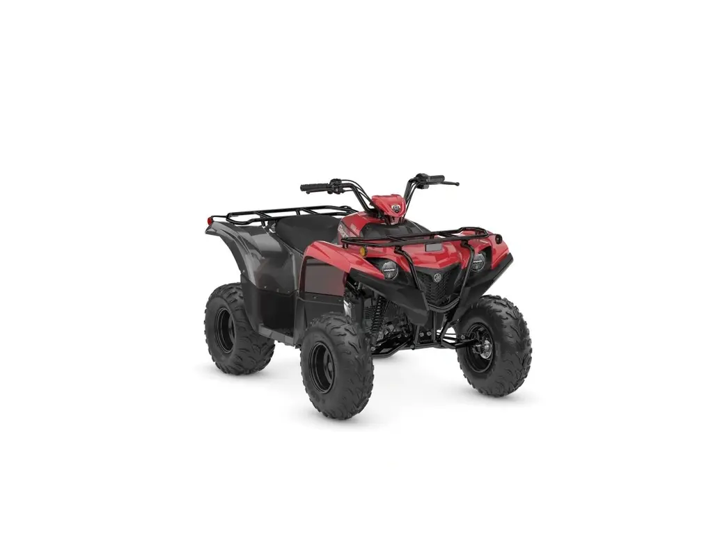 2025 Yamaha Grizzly 110