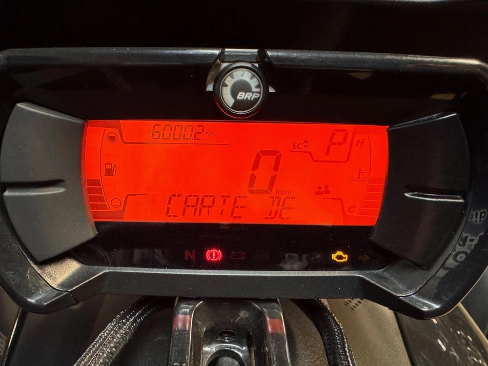 Can-am Ryker Rally 900 Ace 2021 alt