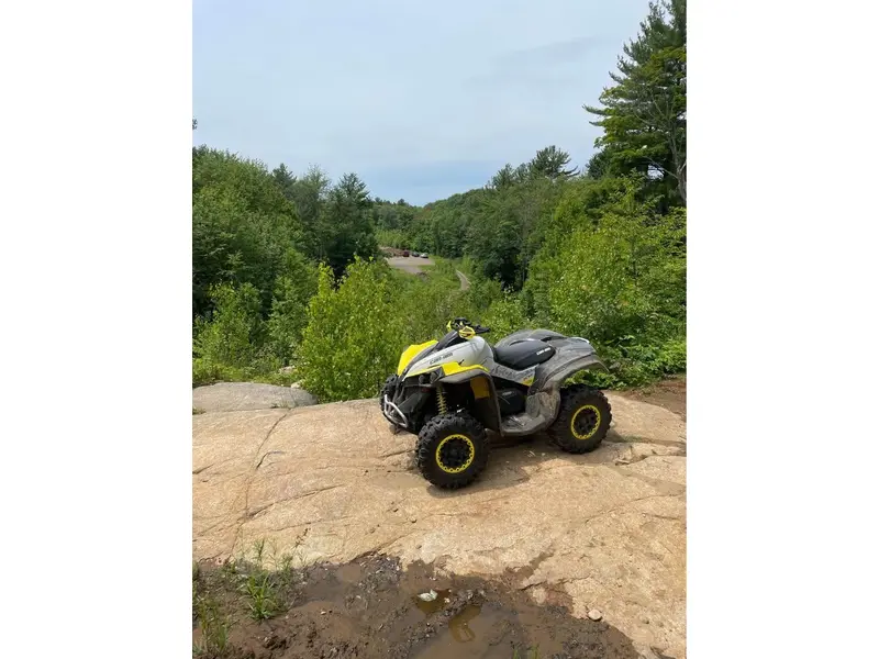 2019 Can-Am RENEGADE 1000R