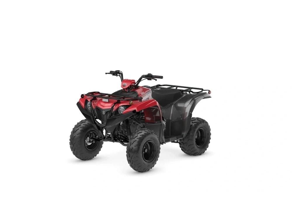 2025 Yamaha Grizzly 110 alt