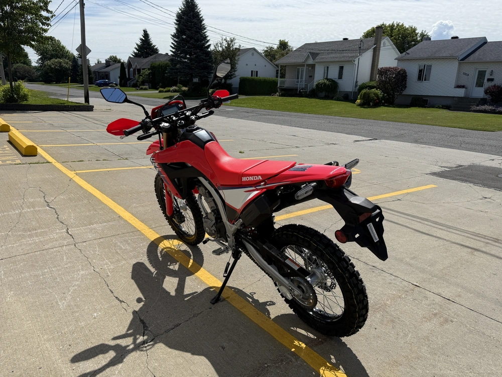2025 Honda Crf300l Abs alt