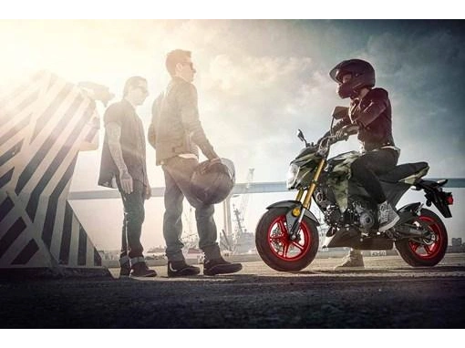Kawasaki Z 125 Pro 2025 alt