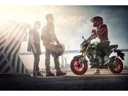 2025 Kawasaki Z 125 PRO