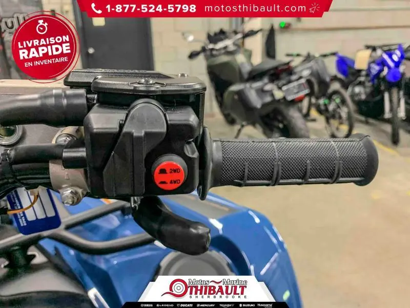 2025 Yamaha Grizzly DAE SE