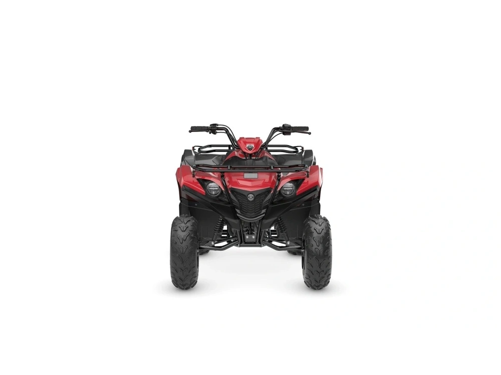 2025 Yamaha Grizzly 110 alt