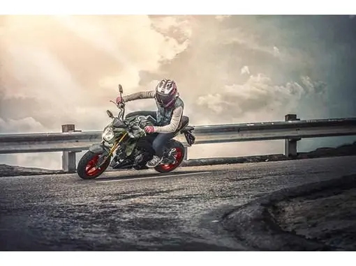 2025 Kawasaki Z 125 PRO