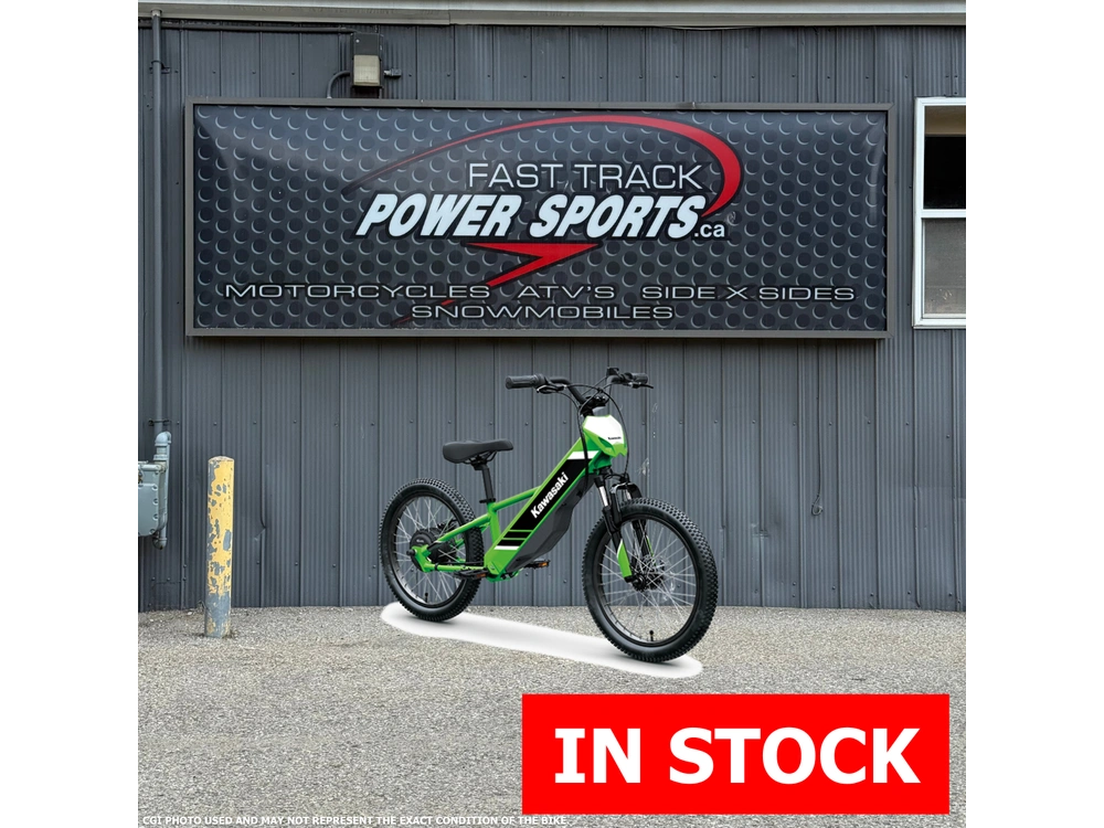 2025 Kawasaki Elektrode 20 alt
