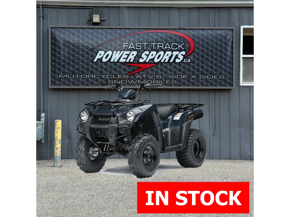 2025 Kawasaki Brute Force 300 alt
