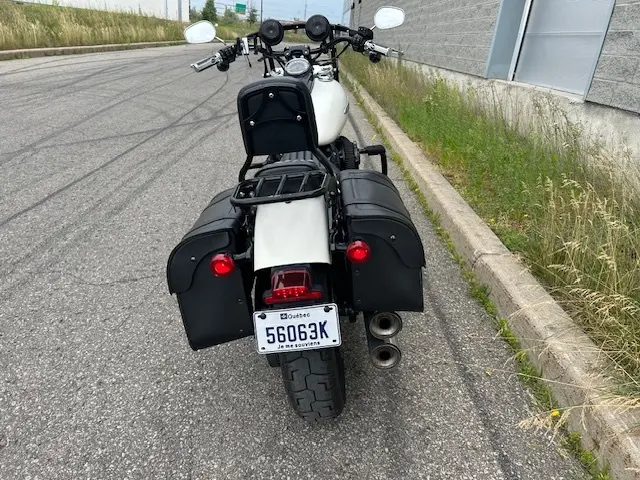 2018 Harley-Davidson FLS Softail SlimFLS