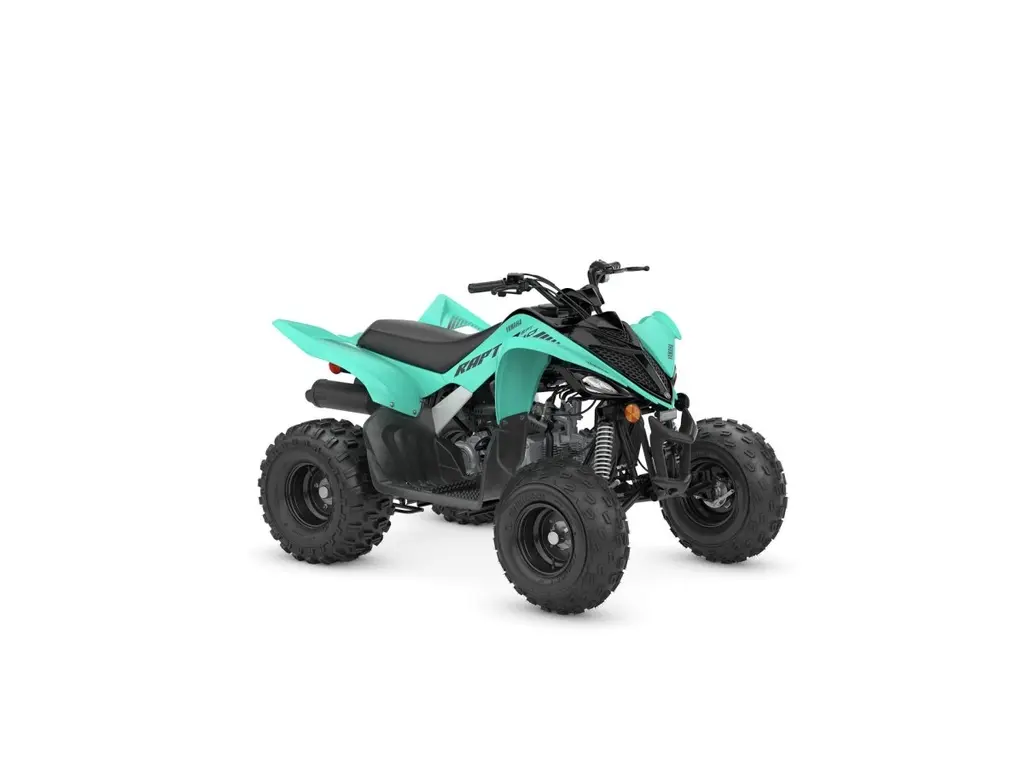 2025 Yamaha Raptor 110 