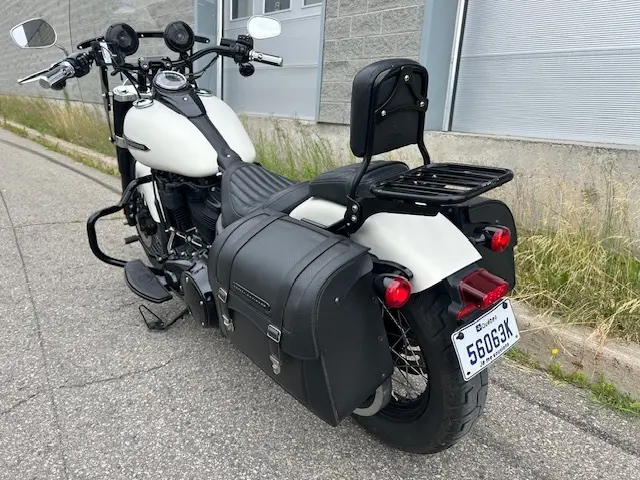 2018 Harley-Davidson FLS Softail SlimFLS