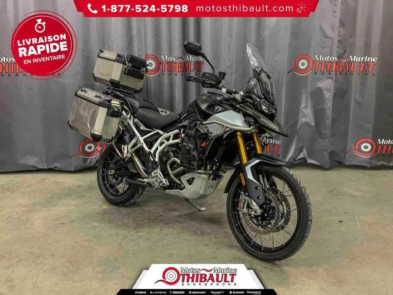 Triumph TIGER 900 RALLY PRO 2024