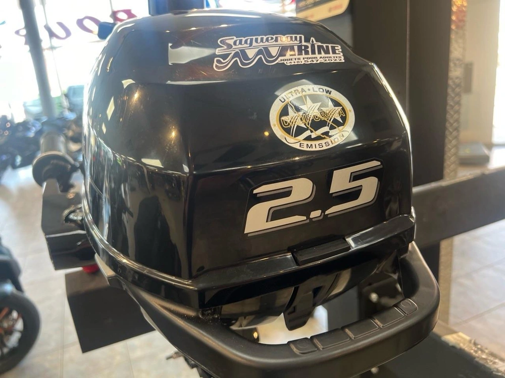 2023 Suzuki Df2.5s alt