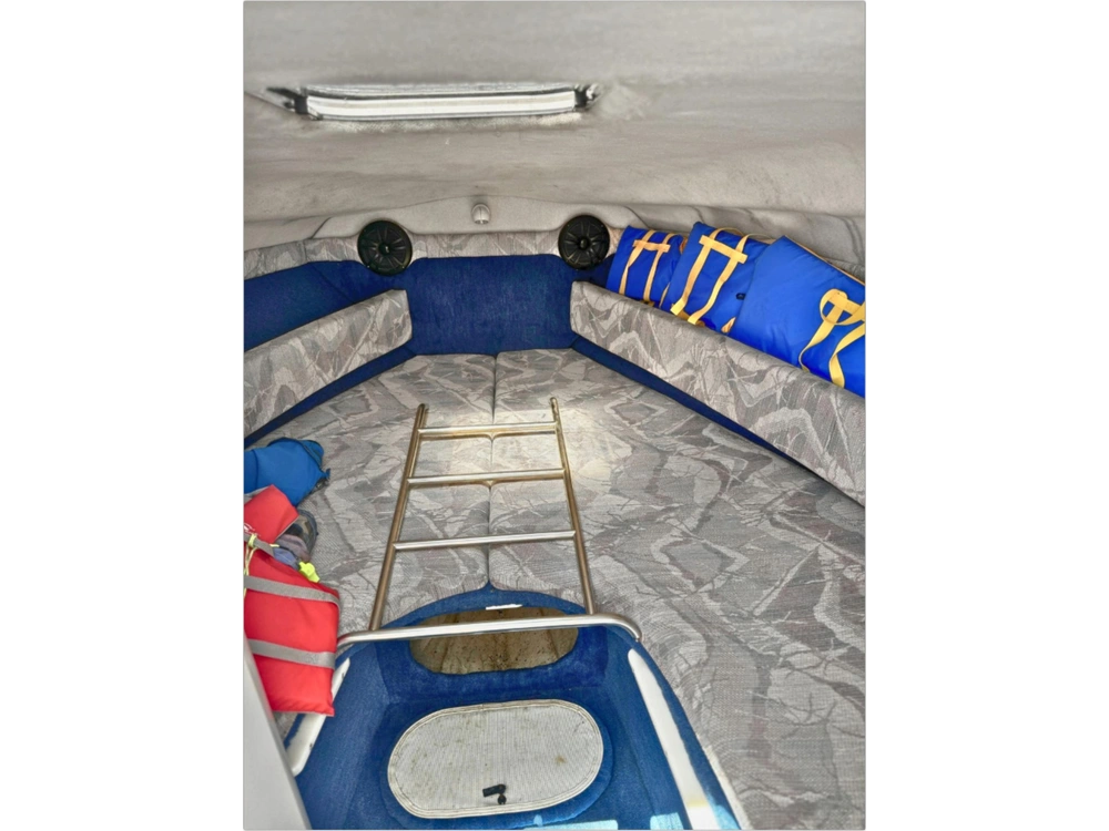 1993 Chris-craft 238 Concept alt