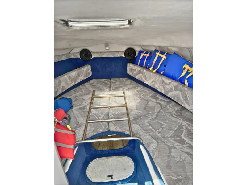 1993 Chris-Craft 238 Concept