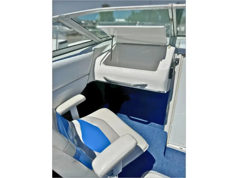 1993 Chris-Craft 238 Concept