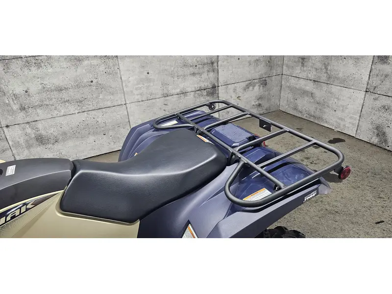 2025 Yamaha KODIAK 450 SE DAE