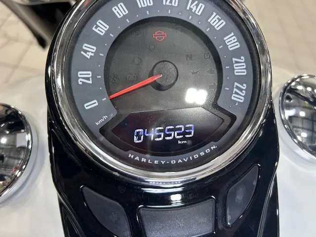 2018 Harley-Davidson FLS Softail SlimFLS