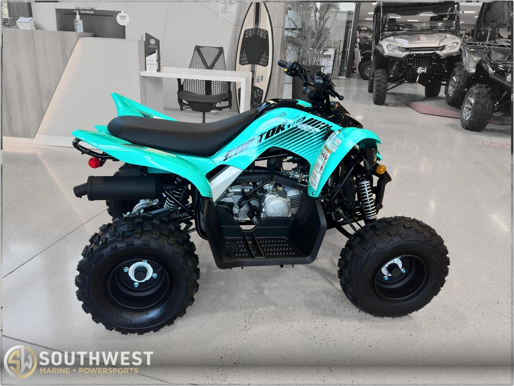 2025 Yamaha Raptor 110 All-in Pricing* alt