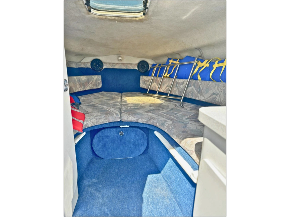 1993 Chris-craft 238 Concept alt