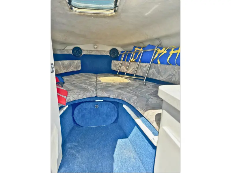 1993 Chris-Craft 238 Concept