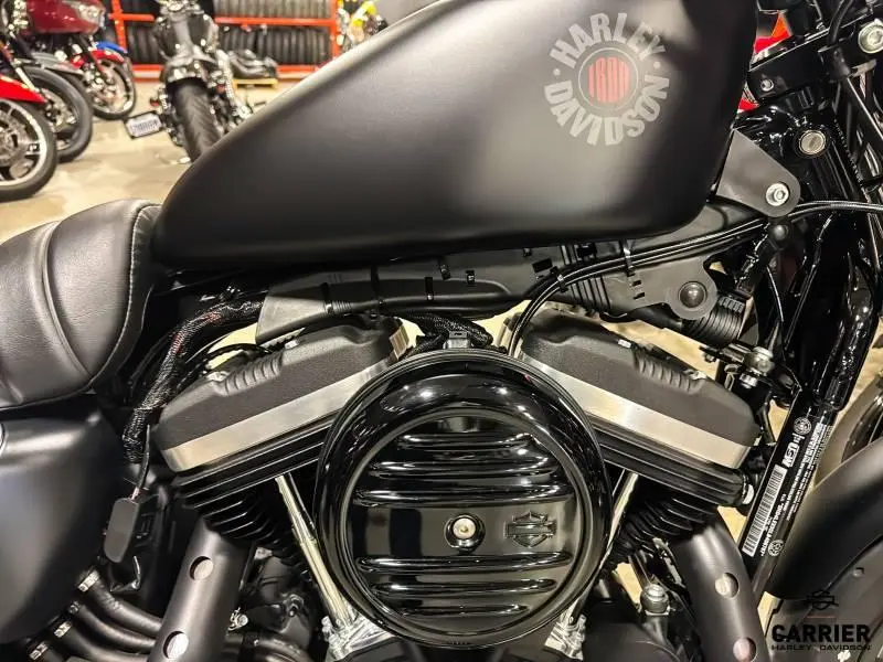 2020 Harley-Davidson Moto Harley-Davidson IRON 883 2020