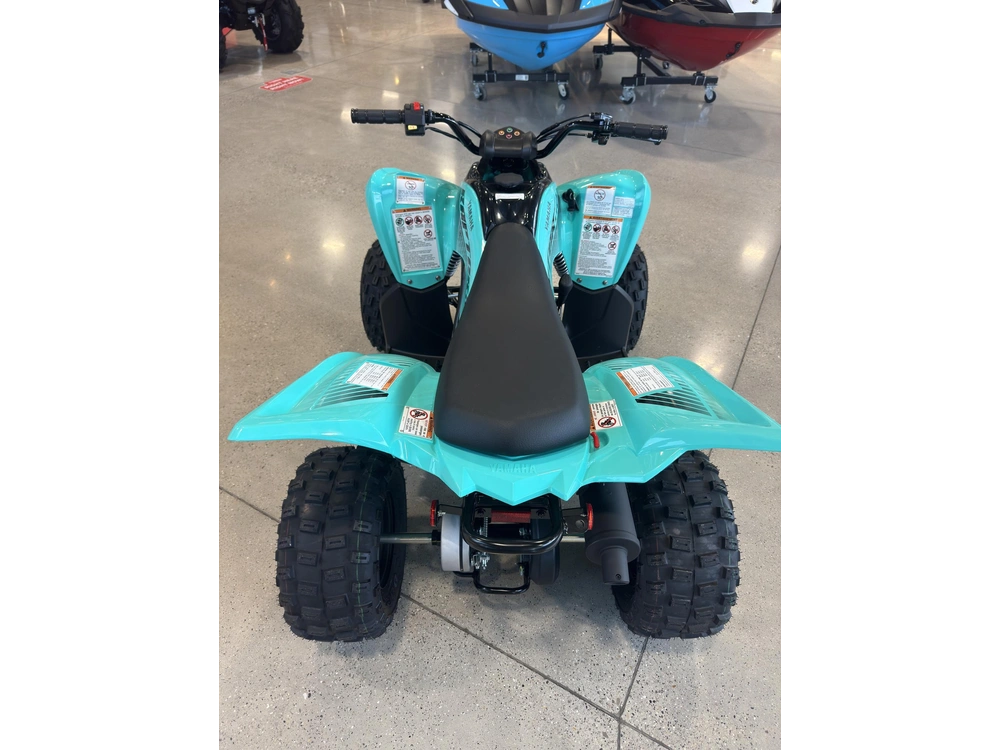 2025 Yamaha Raptor 110 All-in Pricing* alt
