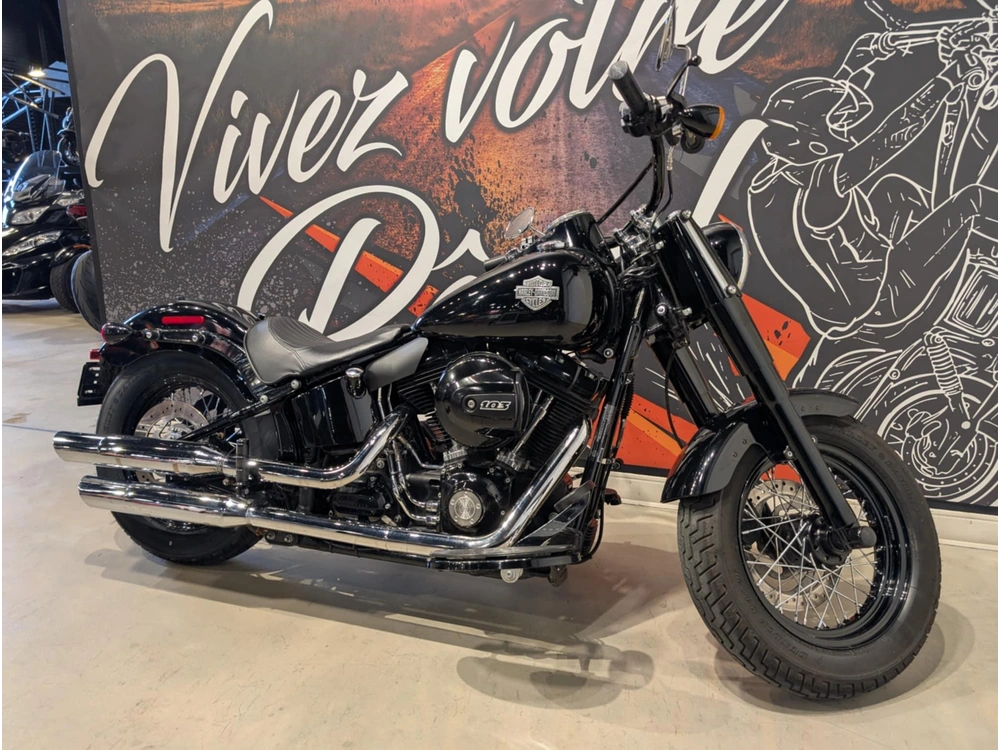 Harley-davidson Softail Slim 2016 alt
