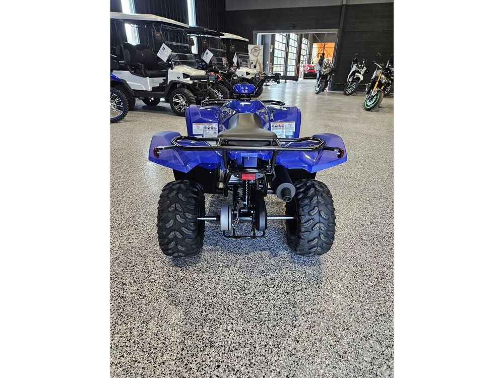 Yamaha Grizzly 110 2025 alt